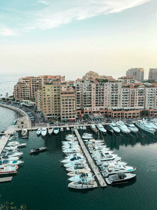 La nostra competenza